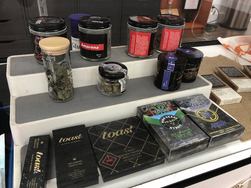 Alternative Herbal Health Services