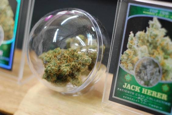 Berkeley Patients Care Collective