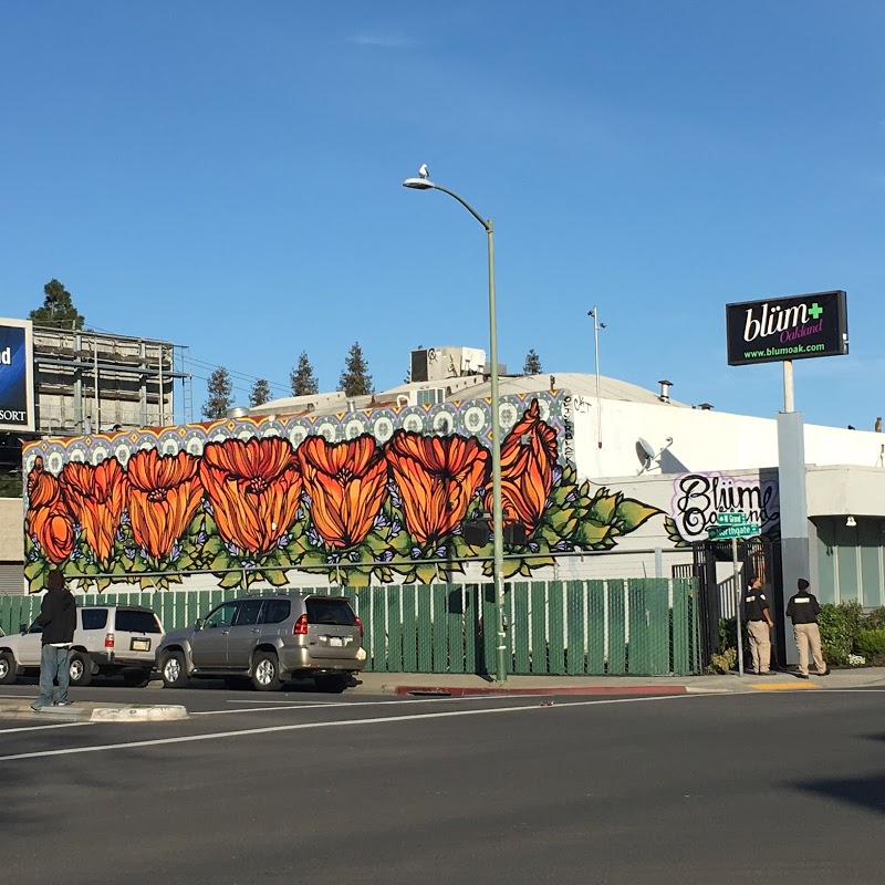 Blüm | Oakland Dispensary