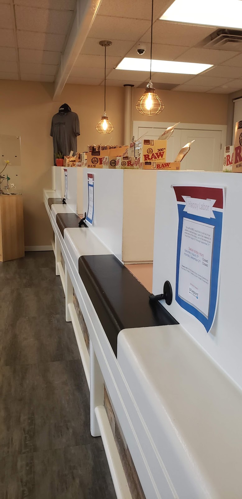 Bluepoint Wellness of Branford
