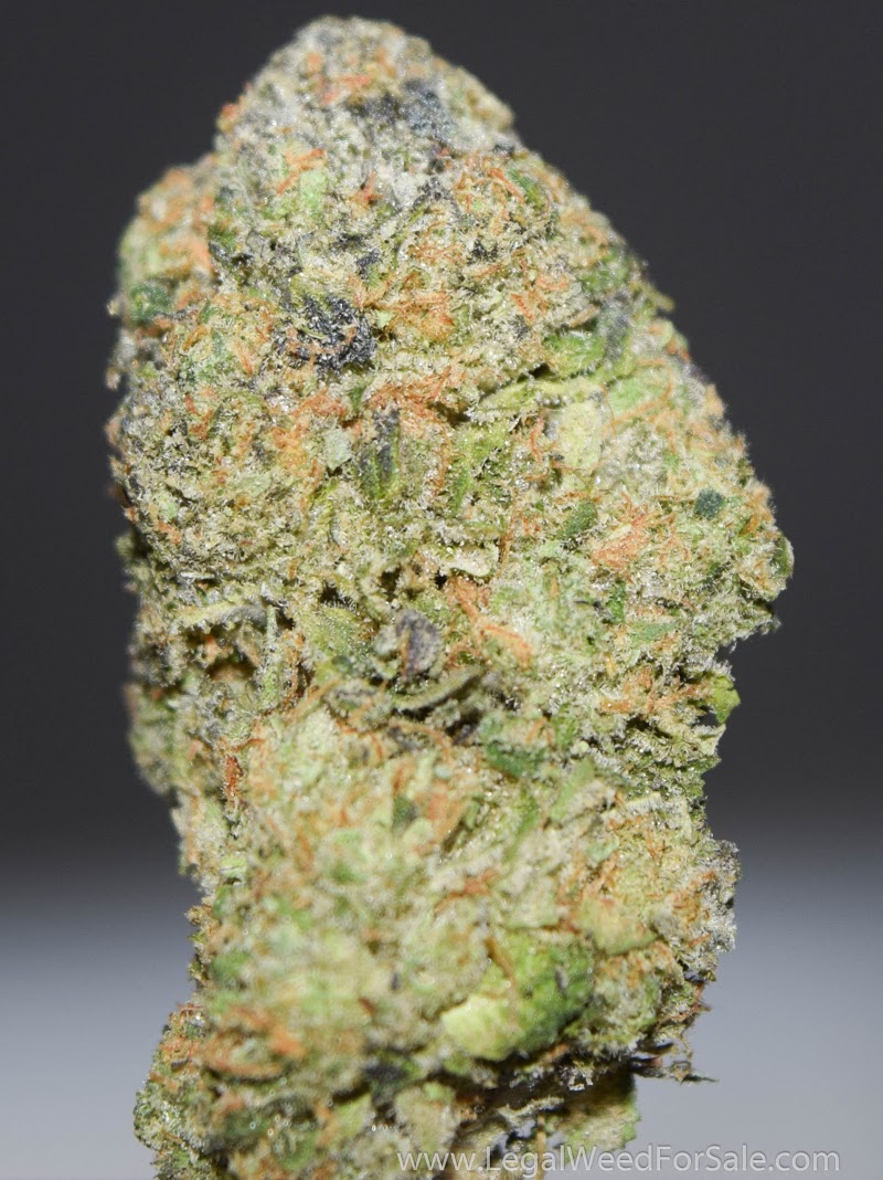 California Herbal Relief Center (Delivery)