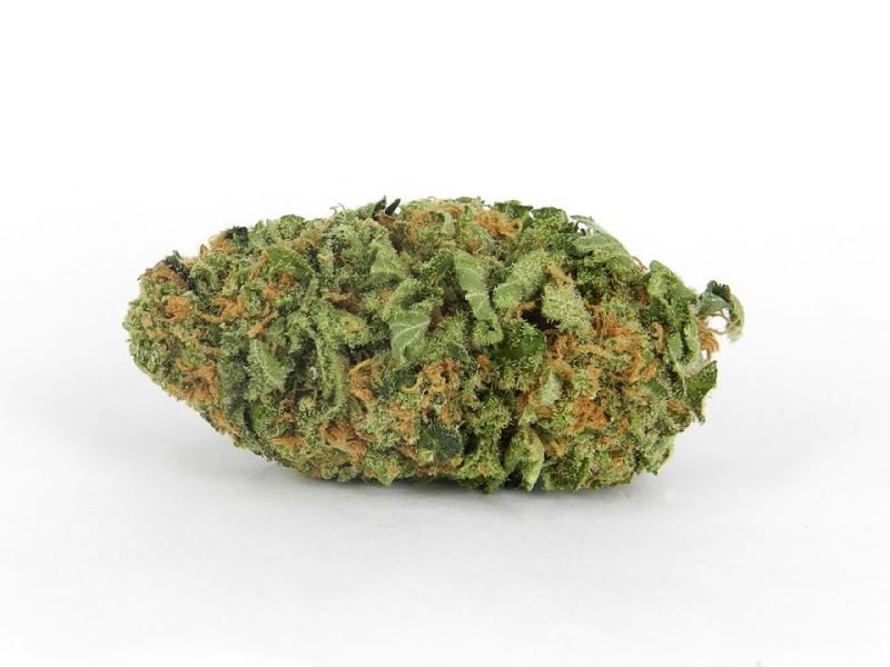 Cannabis Dispensary Magazine