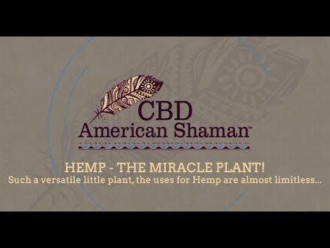 CBD American Shaman - Webster/Clear Lake