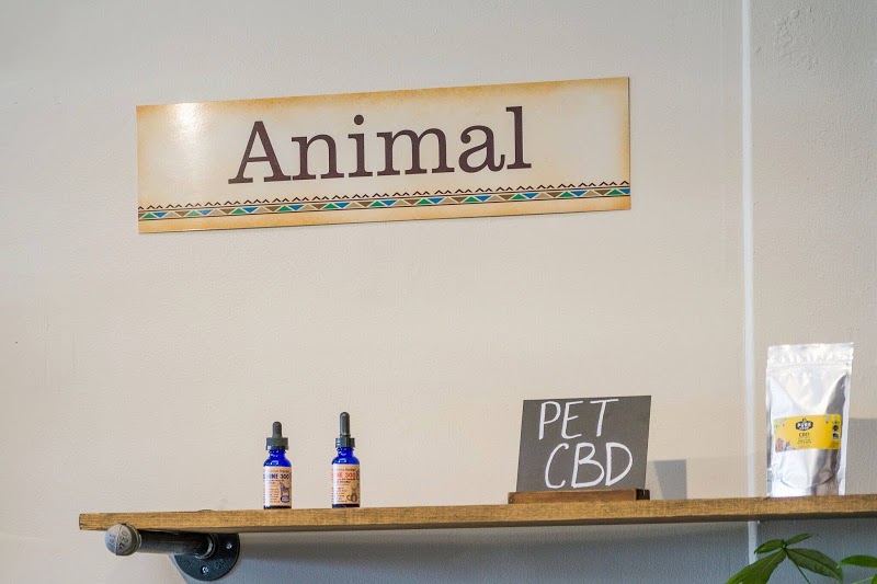 CBD American Shaman