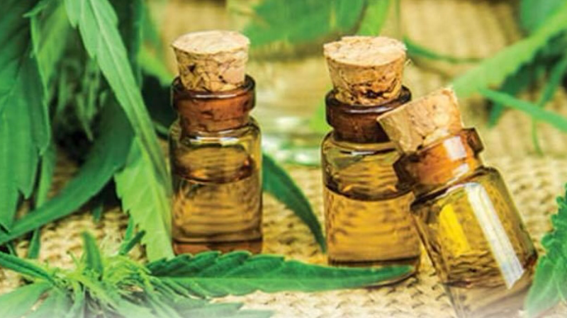 Cbd of Jensen Beach