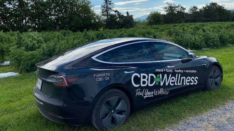 CBD Wellness