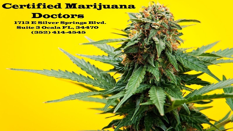 Certified Marijuana Doctors