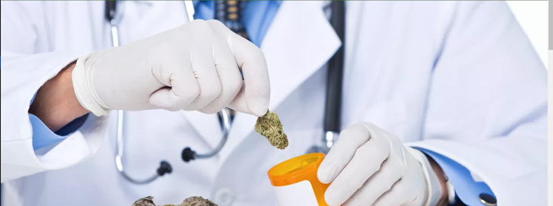 Certified Marijuana Doctors, Tampa, Florida