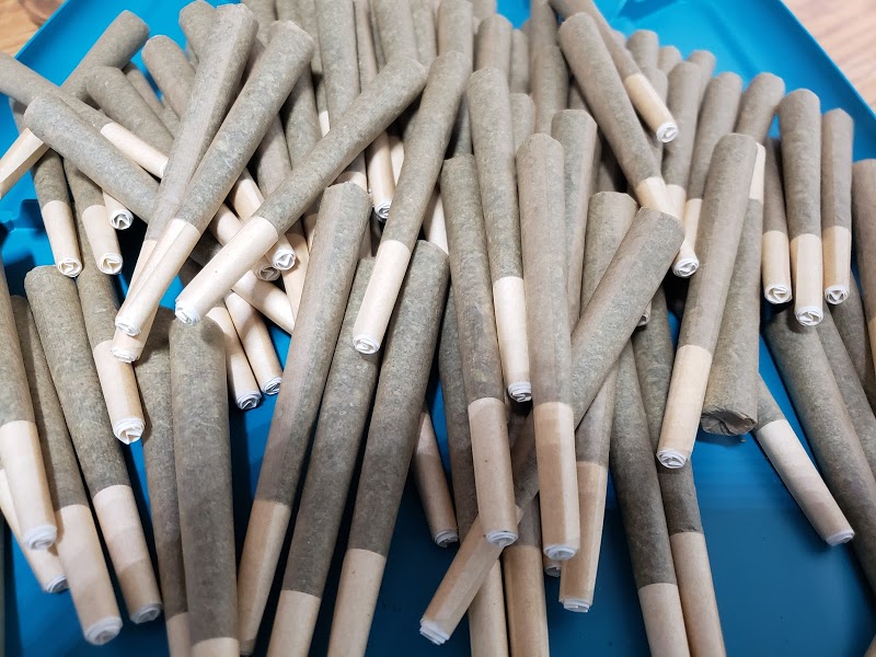 Coastal Cannabis Couriers