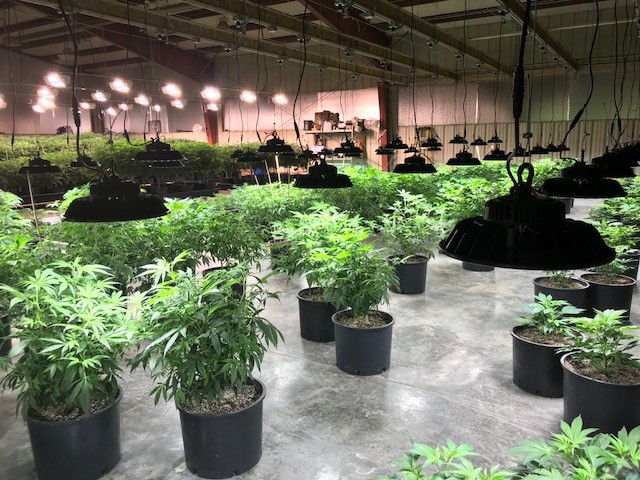 Colorado Hemp & Cannabis Institute, LLC