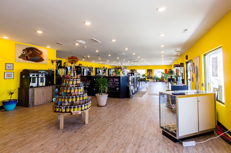 Eclipse Head Shop
