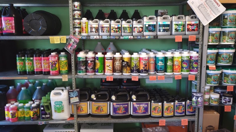 Green Kingdom Hemp