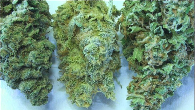 Green Therapy
