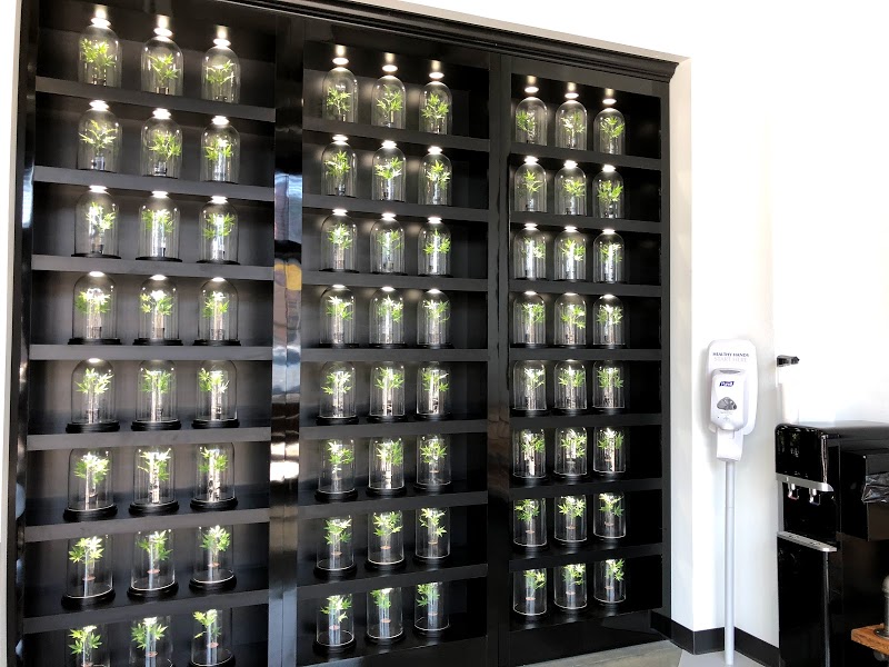 GreenLabs