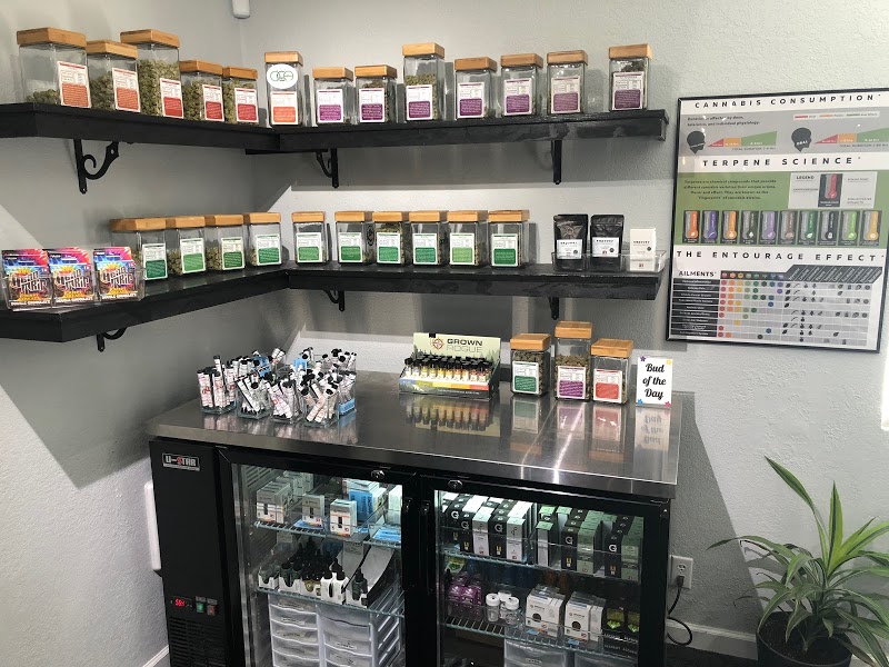 Harvest Moon Cannabis