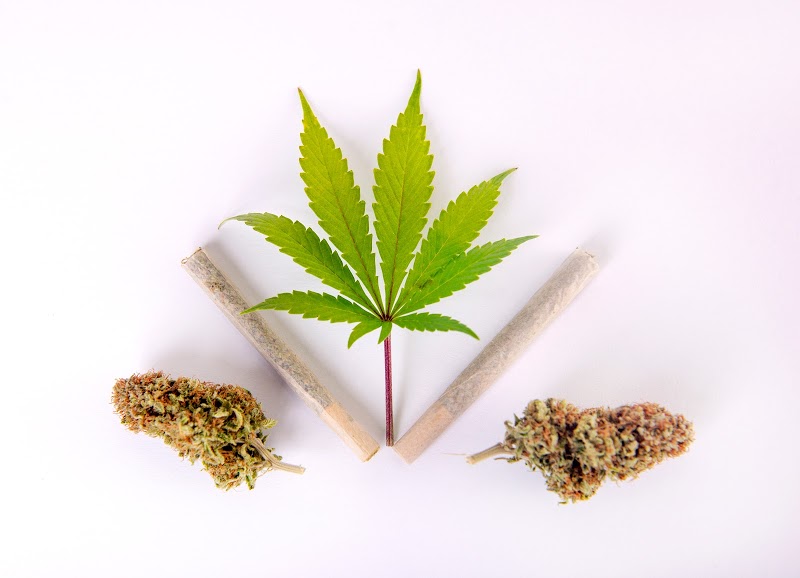 Hemp Spectrum