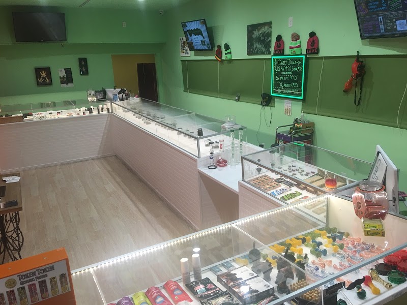 Iguana Collective Stop by 4 Crazy Specials!