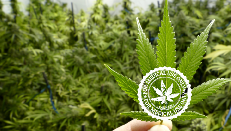 Key West Cannabis Clinic