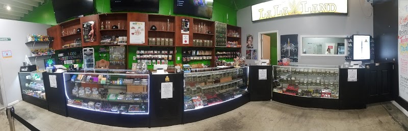 LaLa Land Collective