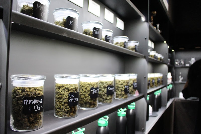 Madrone Cannabis Club