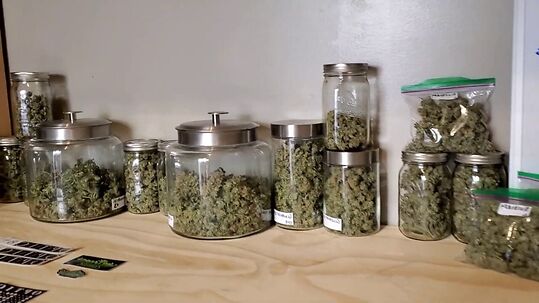 Medical Marijuana Dispensary