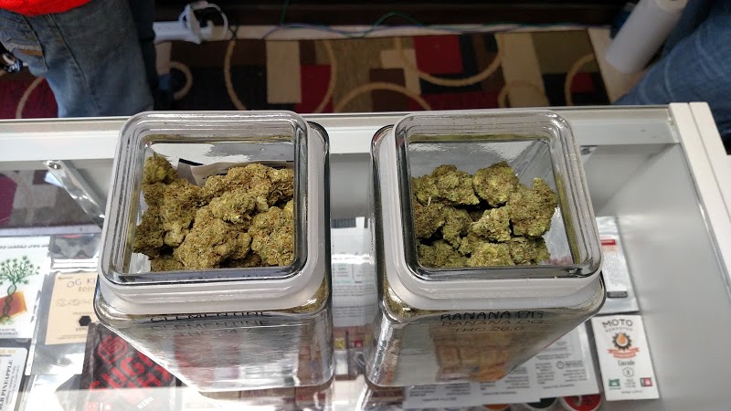 Oasis Cannabis