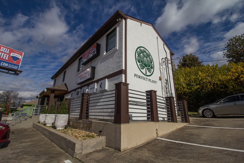 Perfect Plant Hemp Co | CBD Hemp Dispensary