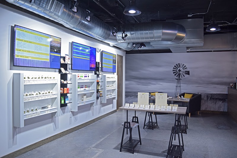 Phoenix Dispensary | Harvest of Baseline