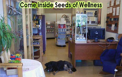 Seeds of Wellness llc