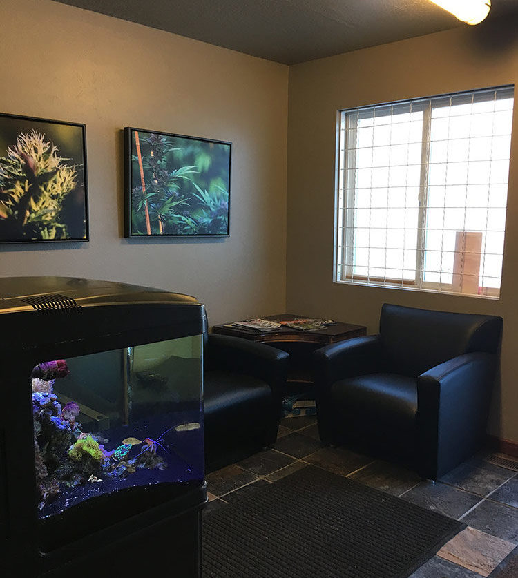 Stokes MMJ Dispensary