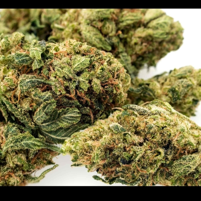 Studio 13 Smoke Shop & CBD Dispensary