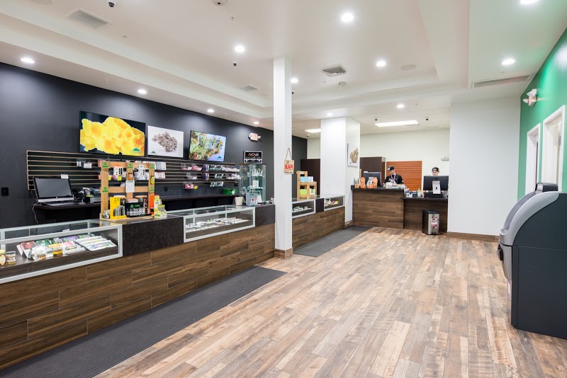 The Dispensary NV