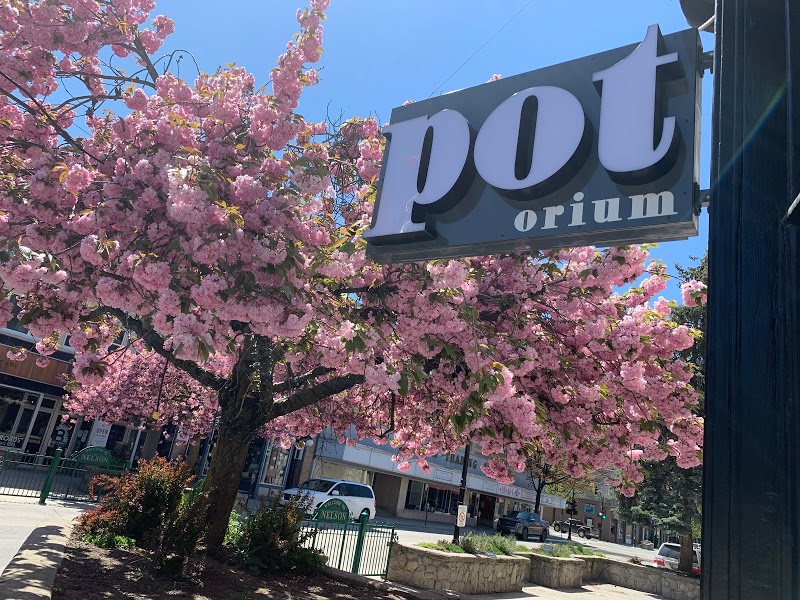 the POTORIUM