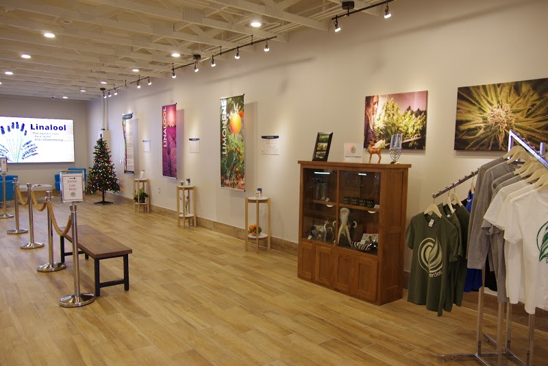 The Verdes Foundation