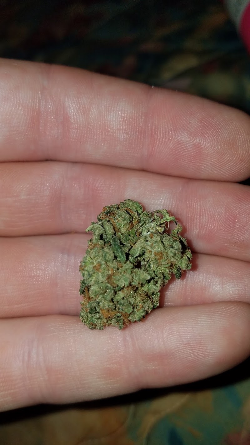 Top Shelf Cannabis (WORLD FAMOUS)