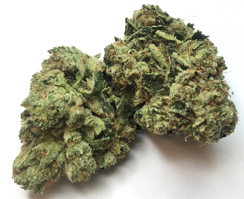 West Valley Caregivers