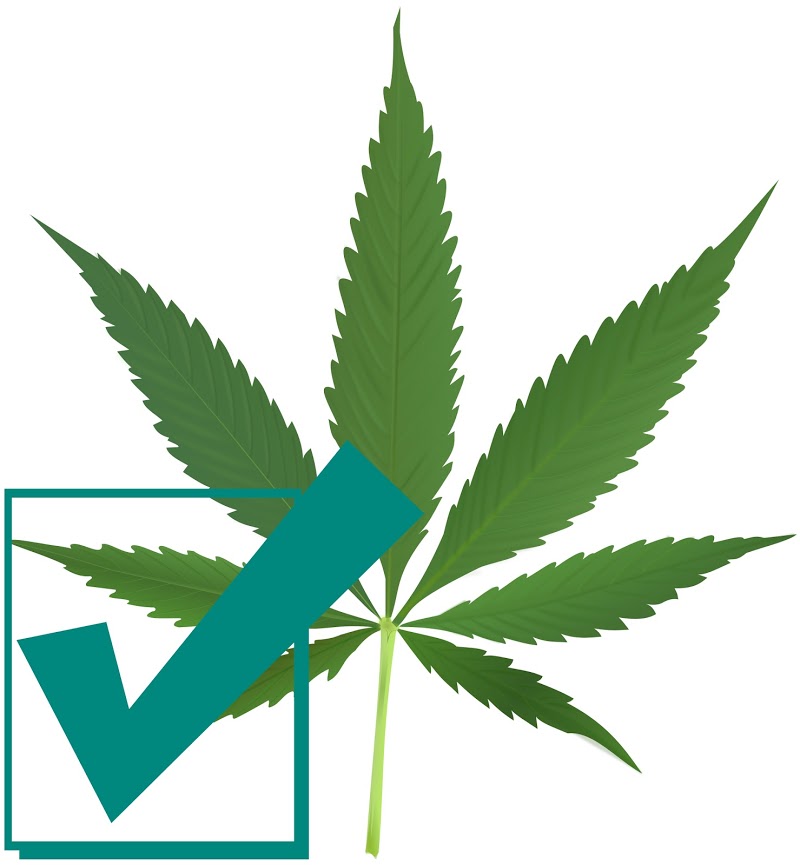 Bodystream Medical Cannabis Clinic - Timmins