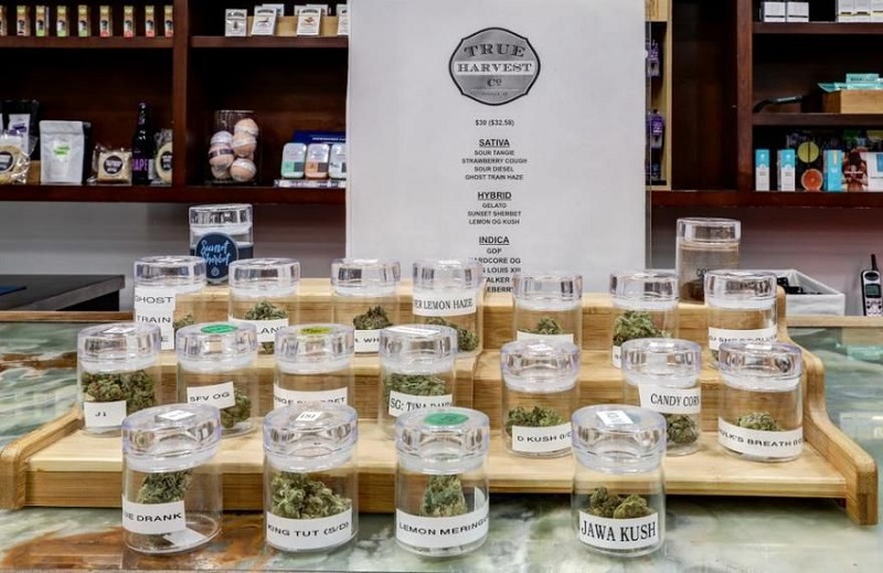 Budders Weed Medical Marijuana Dispensary
