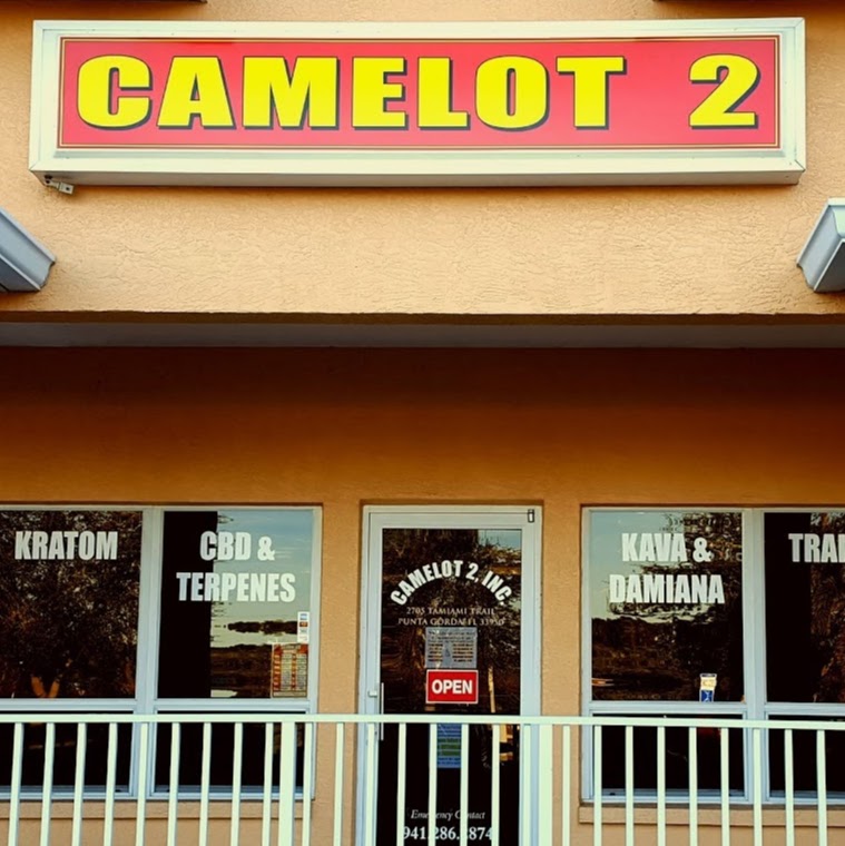 Camelot 2, Inc.