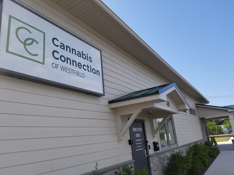 Cannabis Connection, Inc