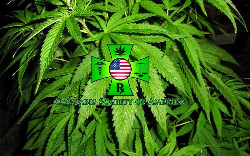 Cannabis Society of America