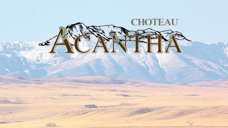 Choteau Acantha | CBD Store in Choteau, Montana