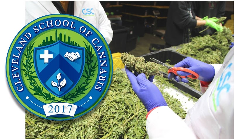 Cleveland School of Cannabis
