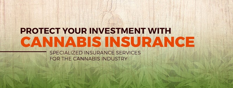 Cover Cannabis - Cannabis Insurance
