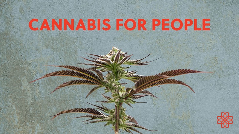 Enlightened Cannabis For People