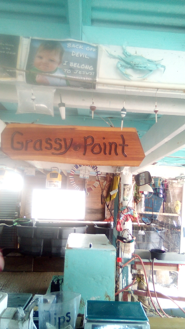 Grassy Point Bait