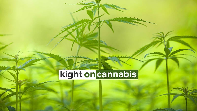 Kight on Cannabis