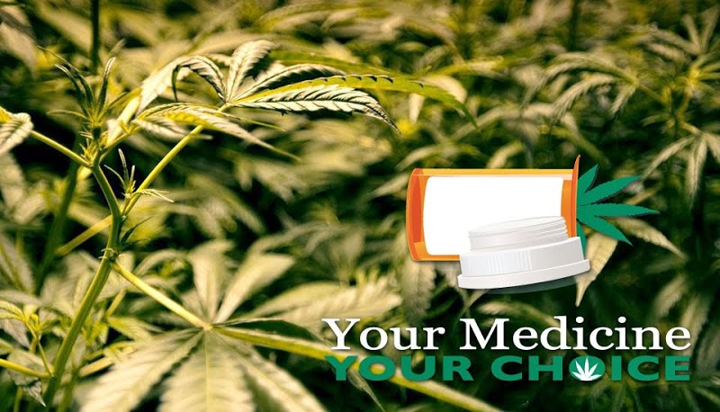 Medical Cannabis Consultants