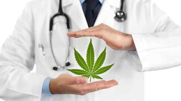 Medical Marijuana MMJ Health - Palm Beach