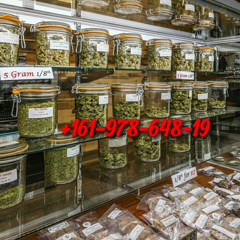 medical-marijuana-of-new-york-5bef3a17eb4b9.jpg?w=200u0026format=autou0026fit=cropu0026crop=edgesu0026h=160